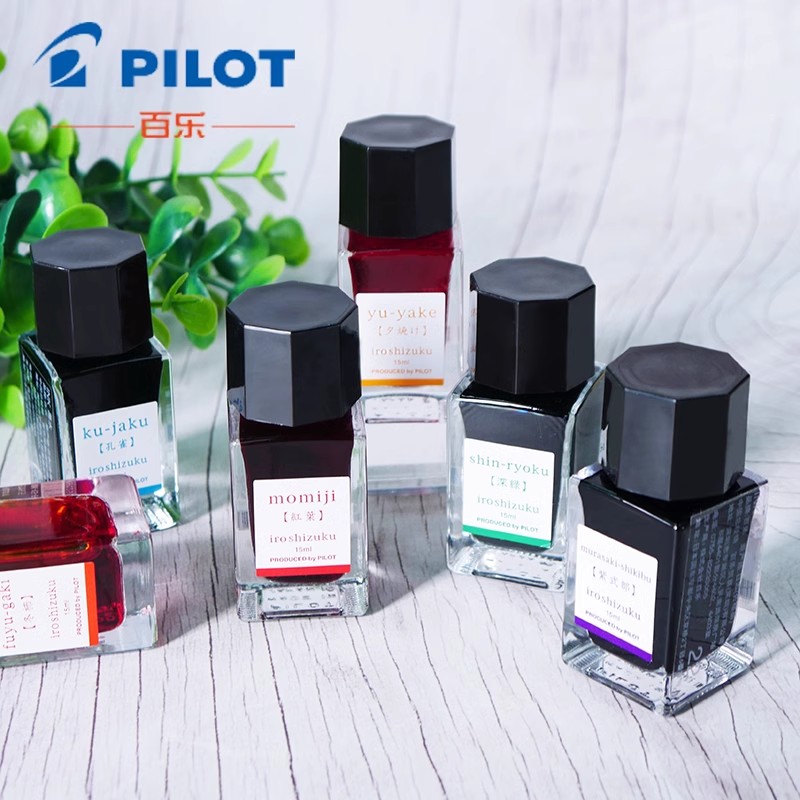 Tinte für Füllfederhalter, 15  – Fountain Pen Bottled Ink Bewertung und Preis