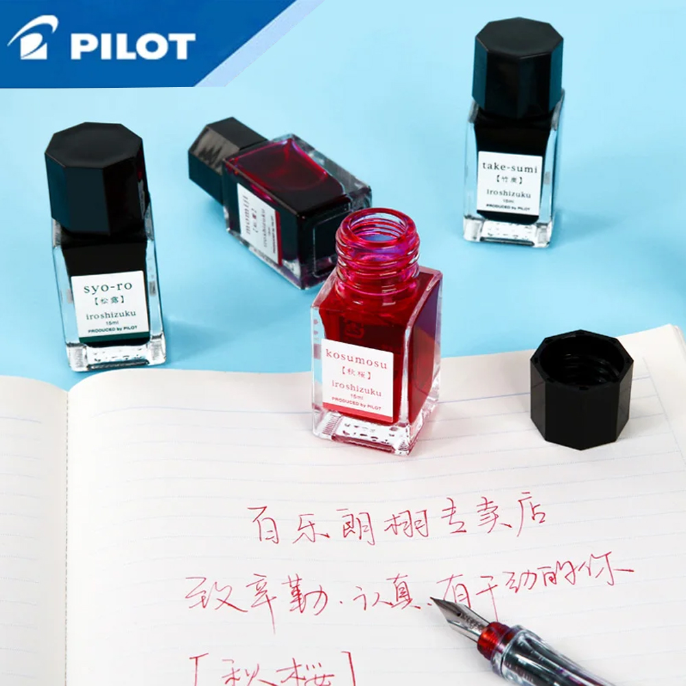 1 Stück Japan Pilot Color Shiz – Fountain Pen Bottled Ink Bewertung und Preis