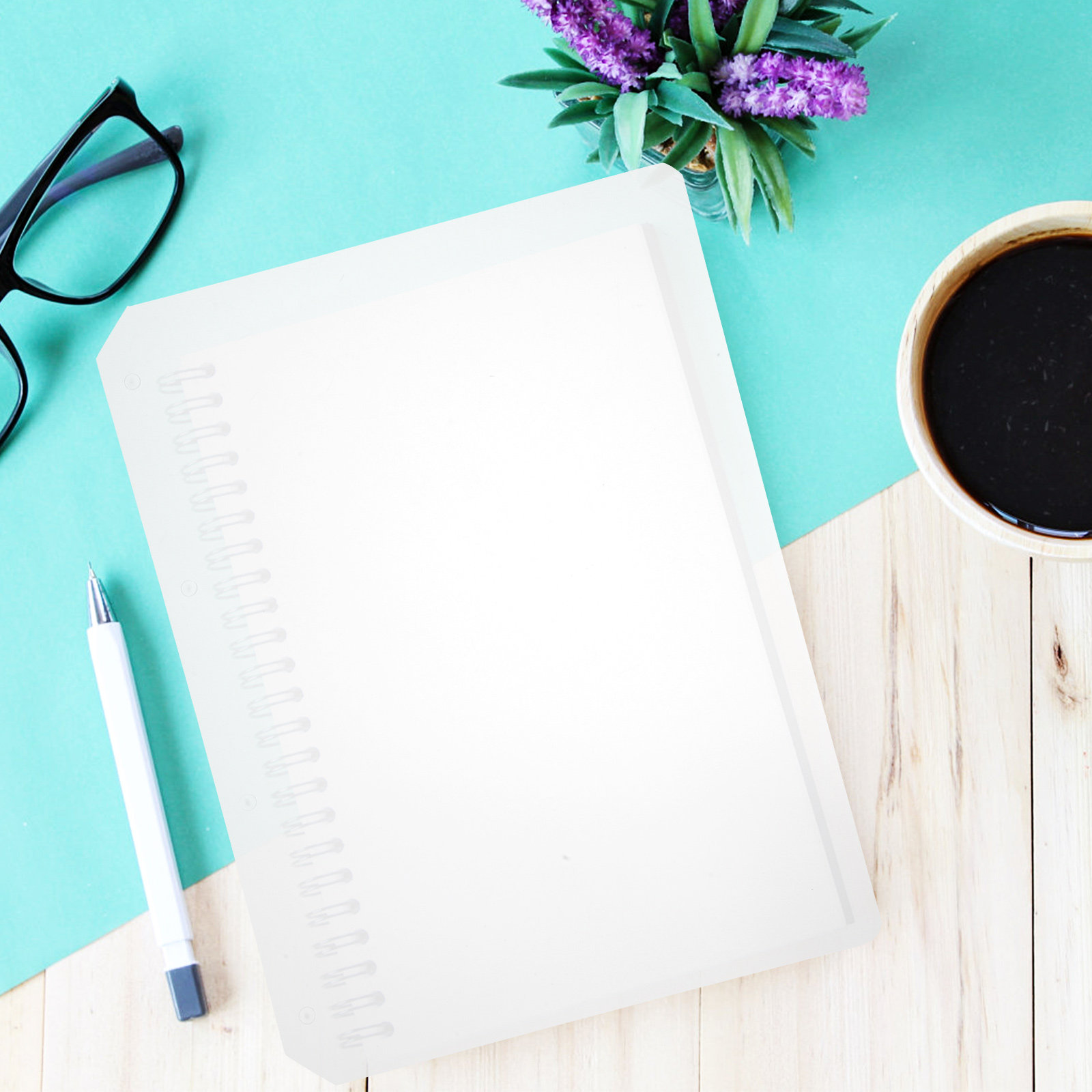5 Stück A4 Notizbuch-Trennblät – Tab Divider A4 Bewertung und Preis